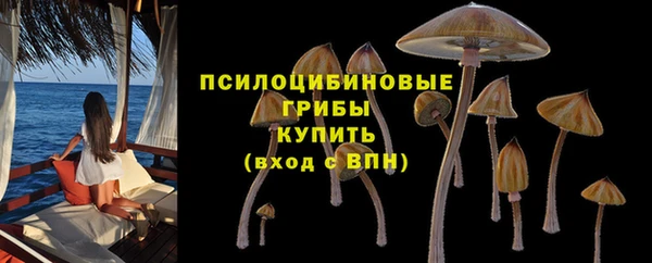 винт Володарск