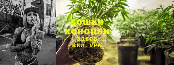 твердый Карпинск