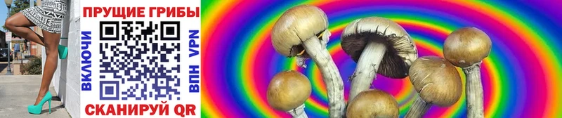 Псилоцибиновые грибы Magic Shrooms  хочу   Зарайск 